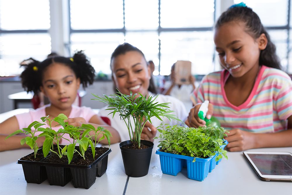 Alunas sendo orientadas por professora no cultivo de plantas em laboratório da escola.